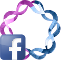 Facebook - Umění DNA