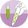 DNA isolation and analysis